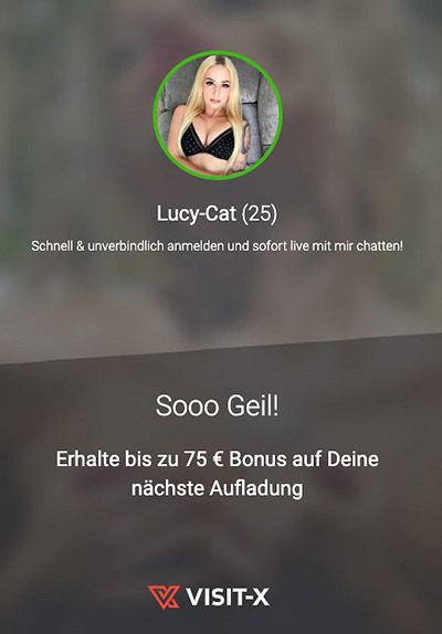 Lucy cat student im wohnheim entsaftet